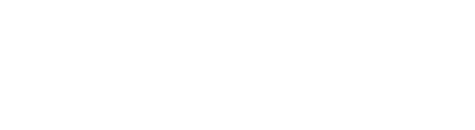 Logo NTT Data Business Solutions