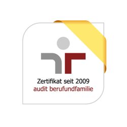 audit_beruf_familie2009
